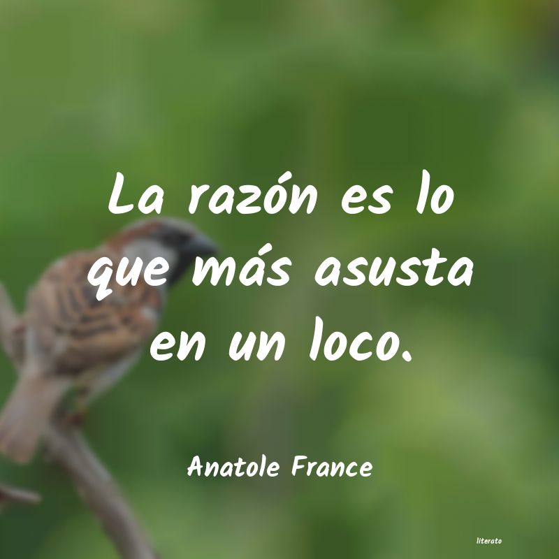 Frases de Anatole France