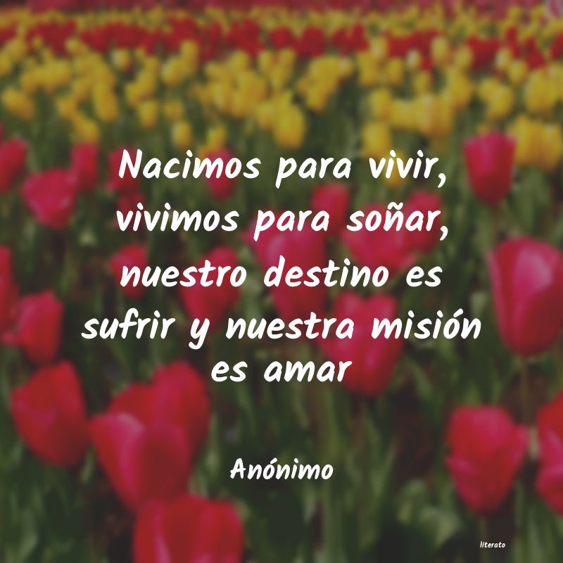 frases