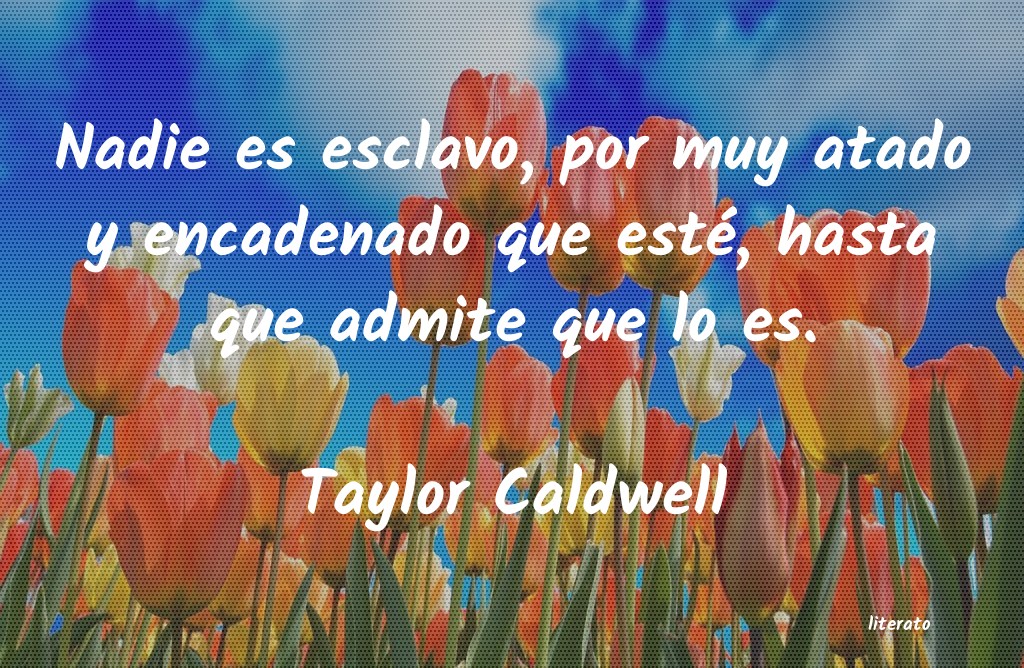 Frases de Taylor Caldwell