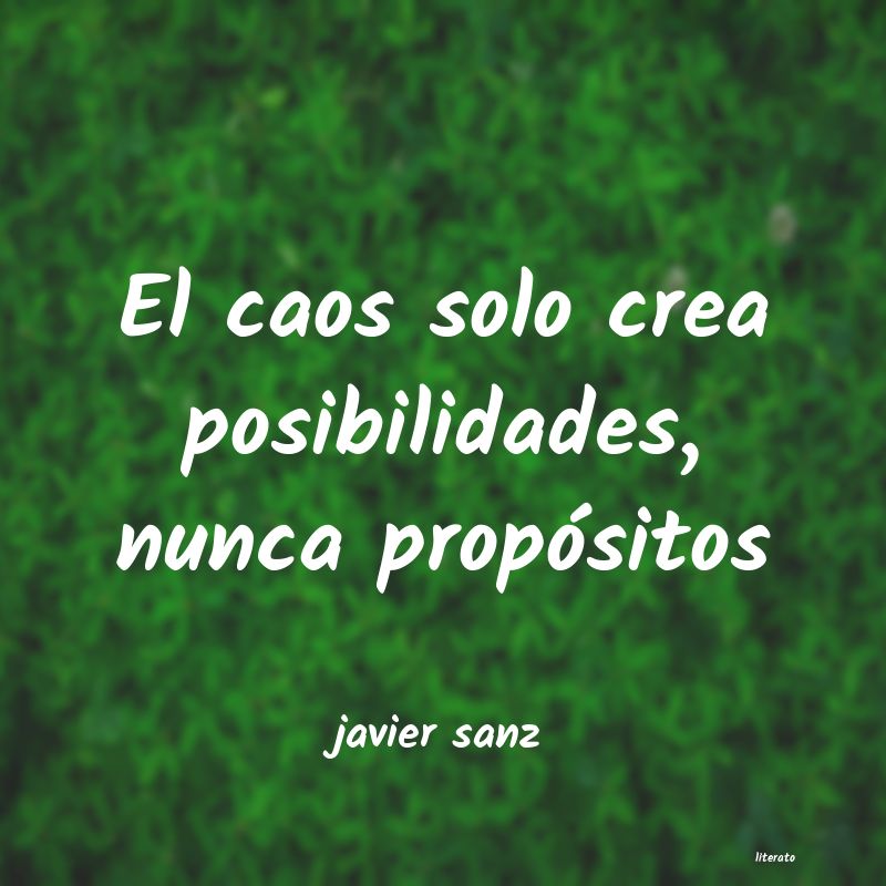 Frases de javier sanz