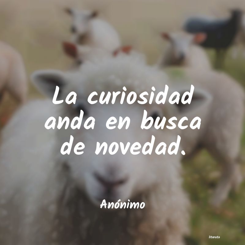 Frases de 