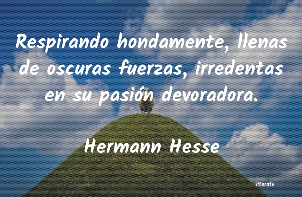 Frases de Hermann Hesse