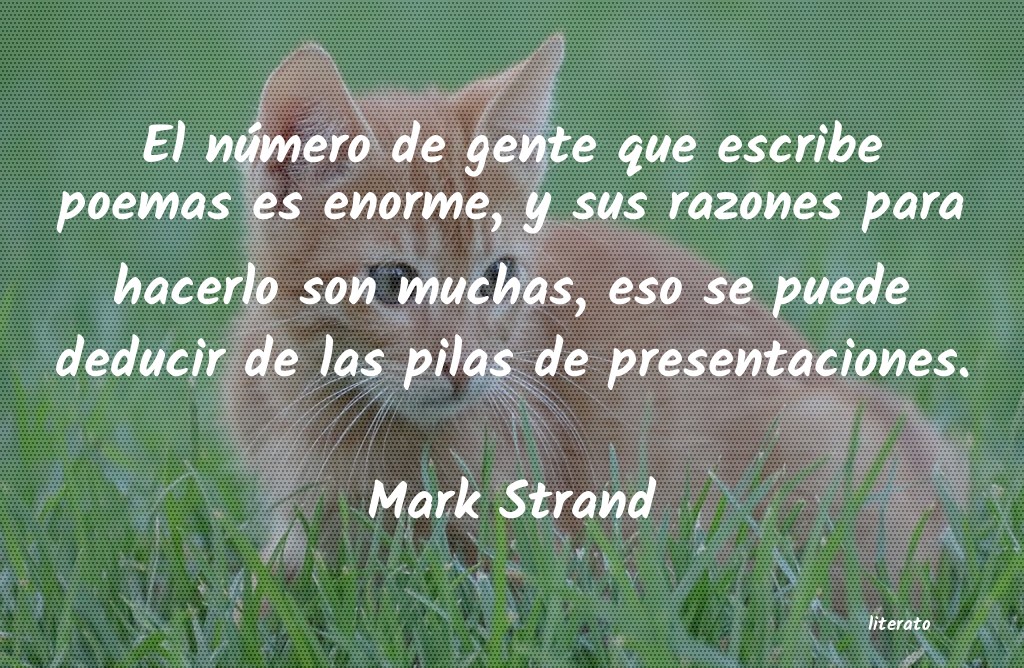 Frases de Mark Strand