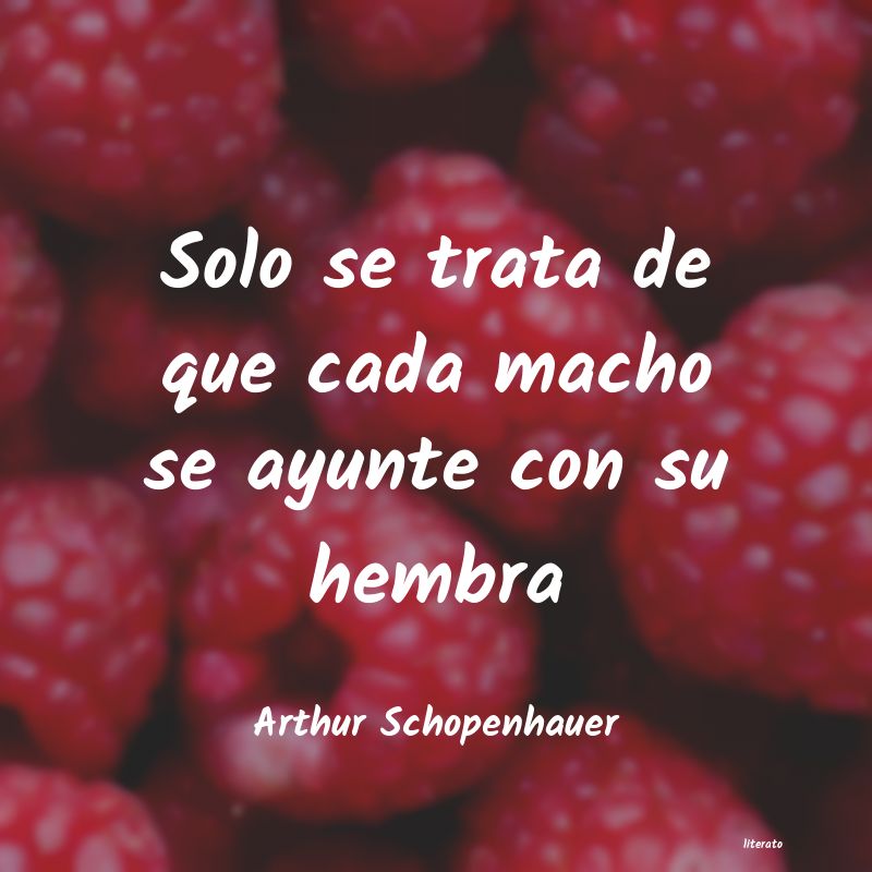 Frases de Arthur Schopenhauer