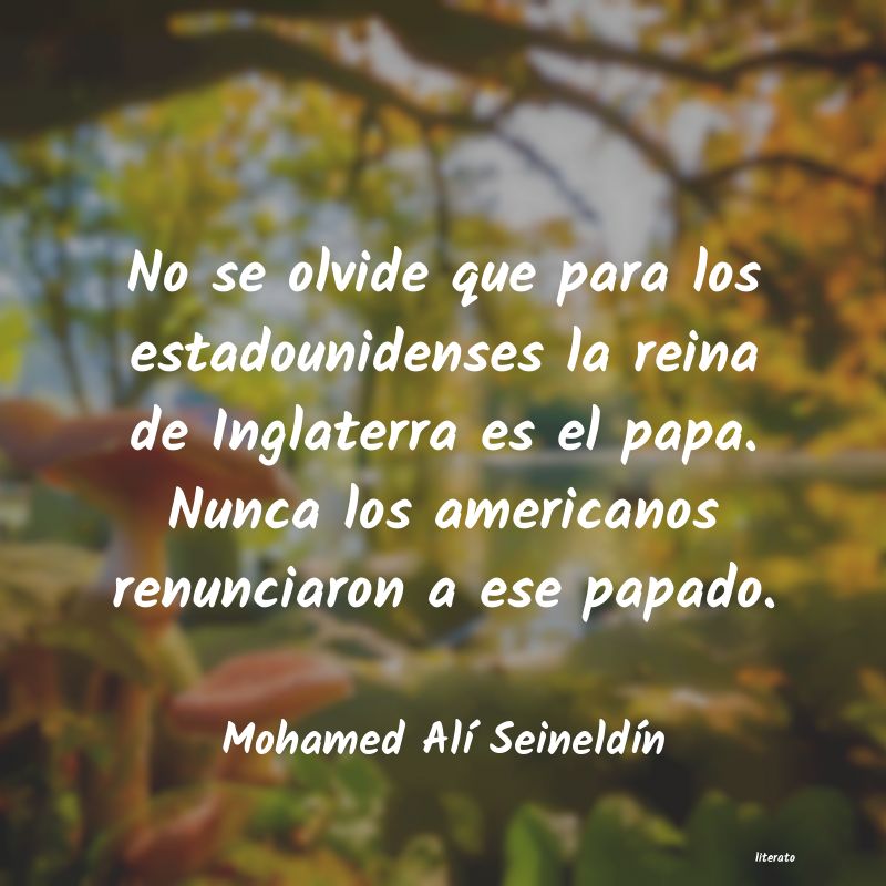frases de Mohamed Alà SeineldÃn