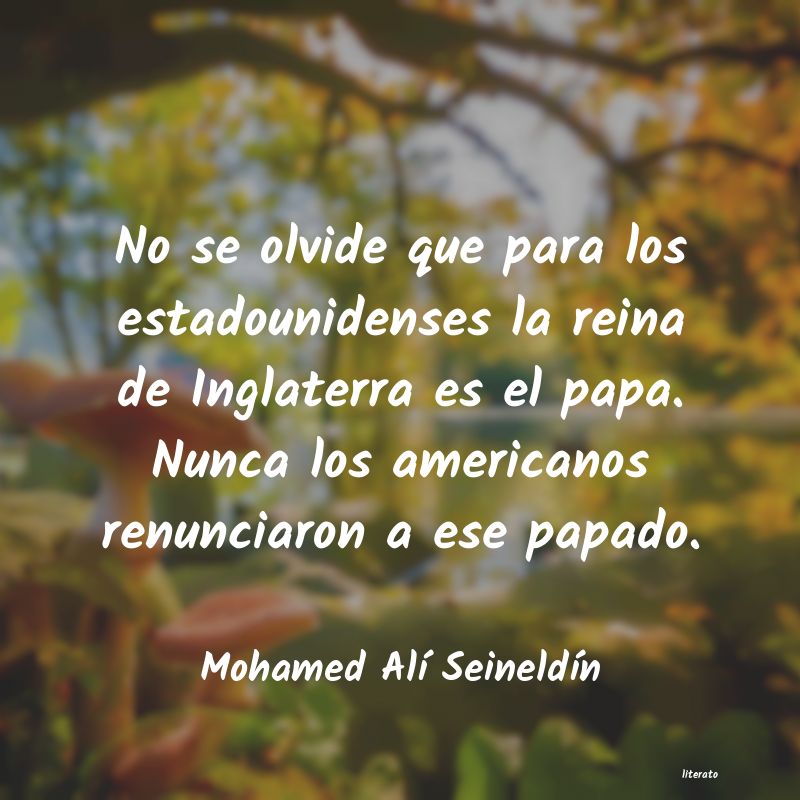 Frases de Mohamed Alí Seineldín