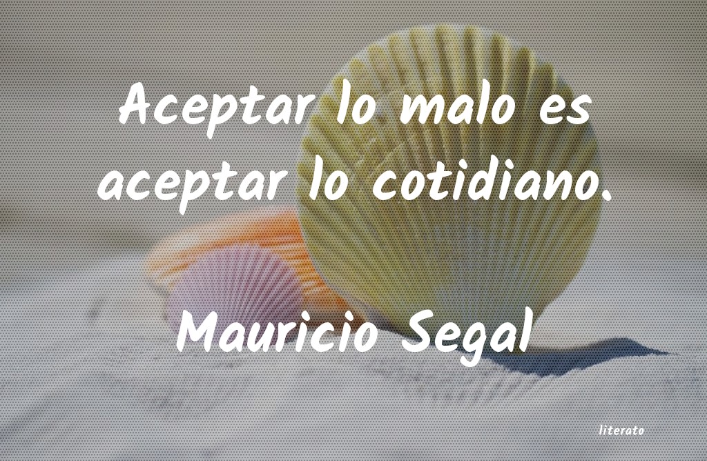 Frases de Mauricio Segal