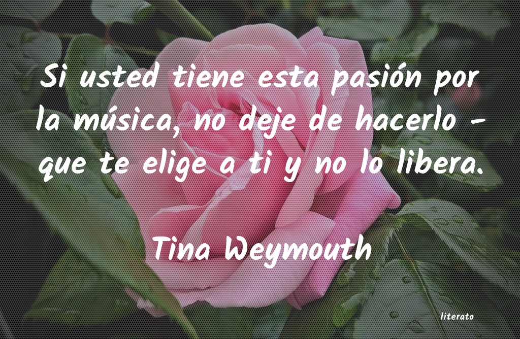 Frases de Tina Weymouth