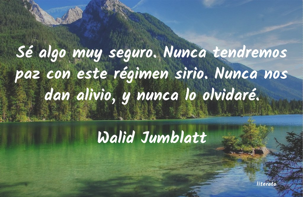 frases de Walid Jumblatt
