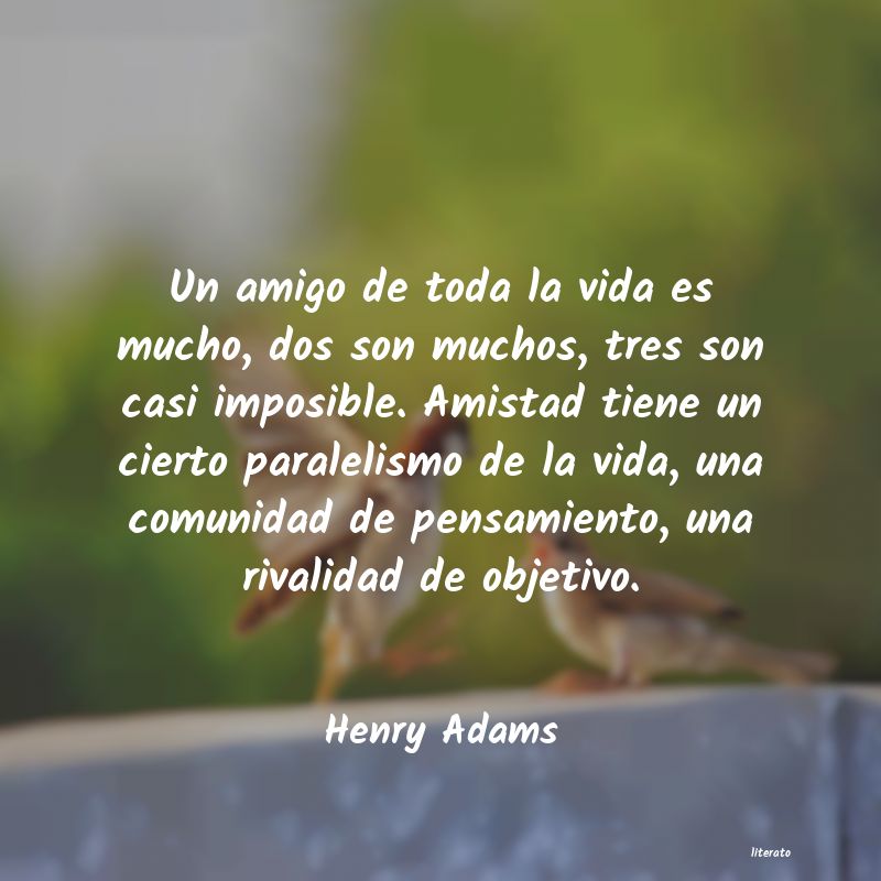 Frases de Henry Adams