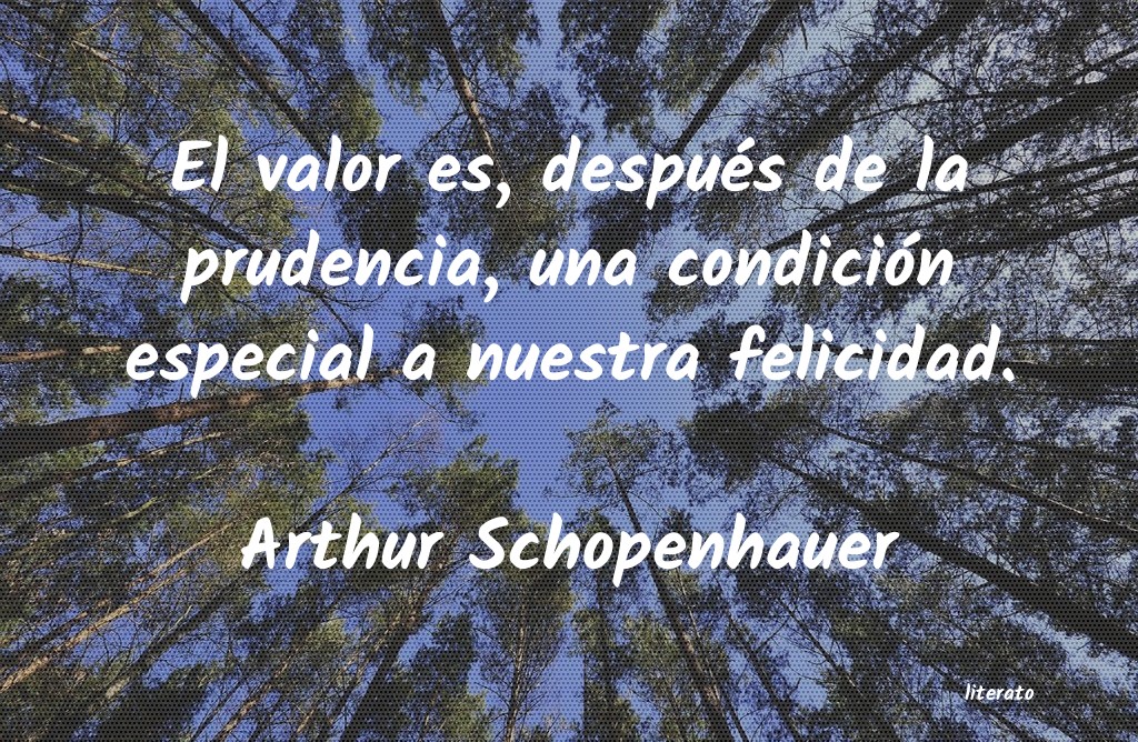 Frases de Arthur Schopenhauer