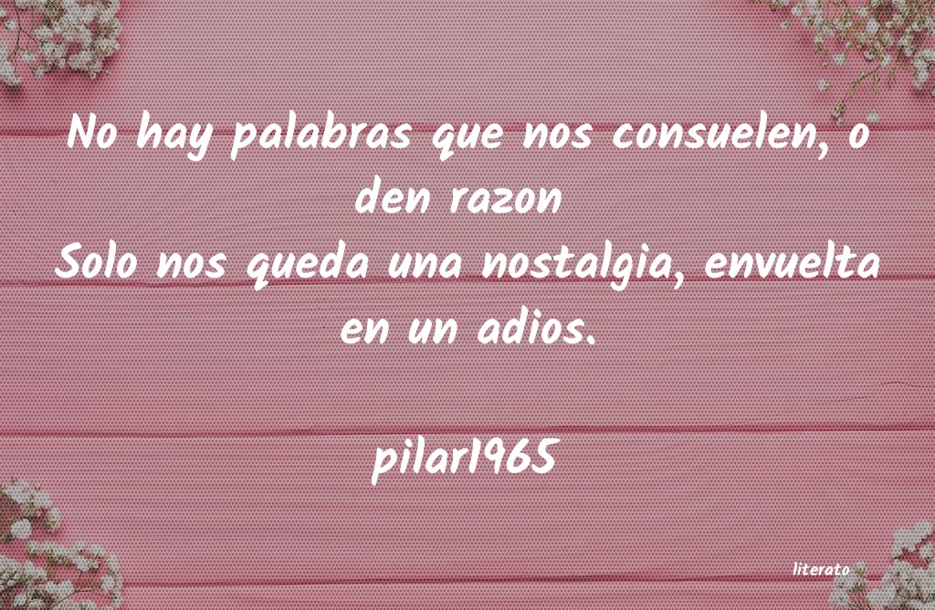 Frases de pilar1965