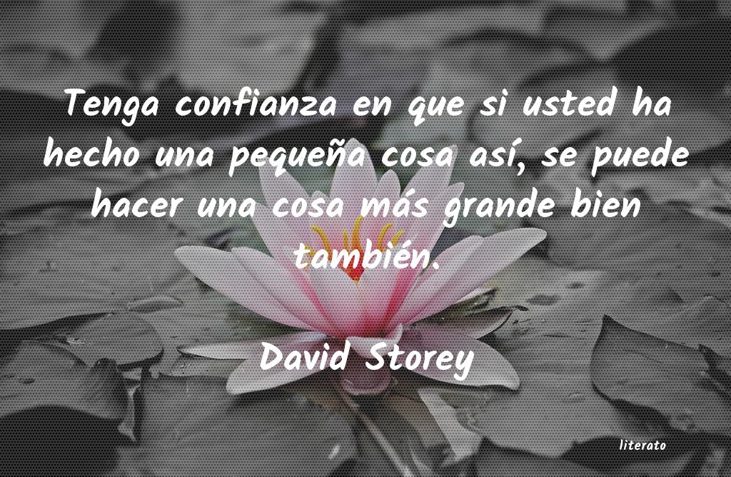 Frases de David Storey