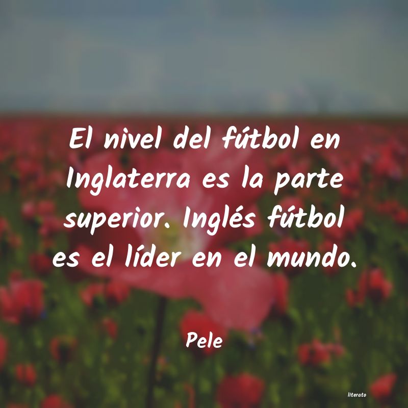 frases de Pele