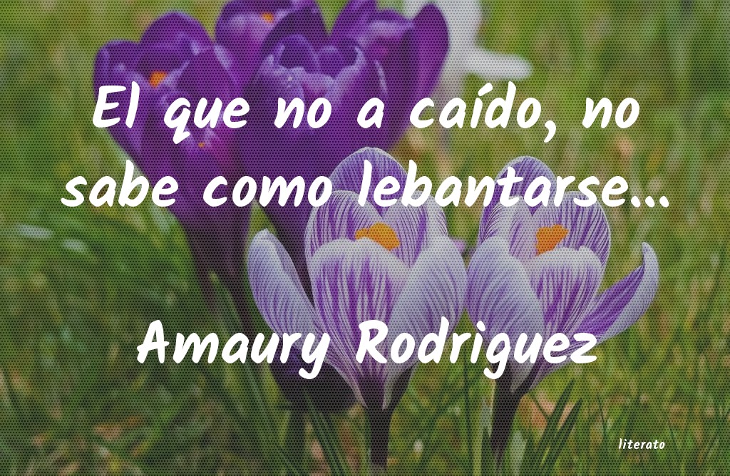 amaury rodriguez