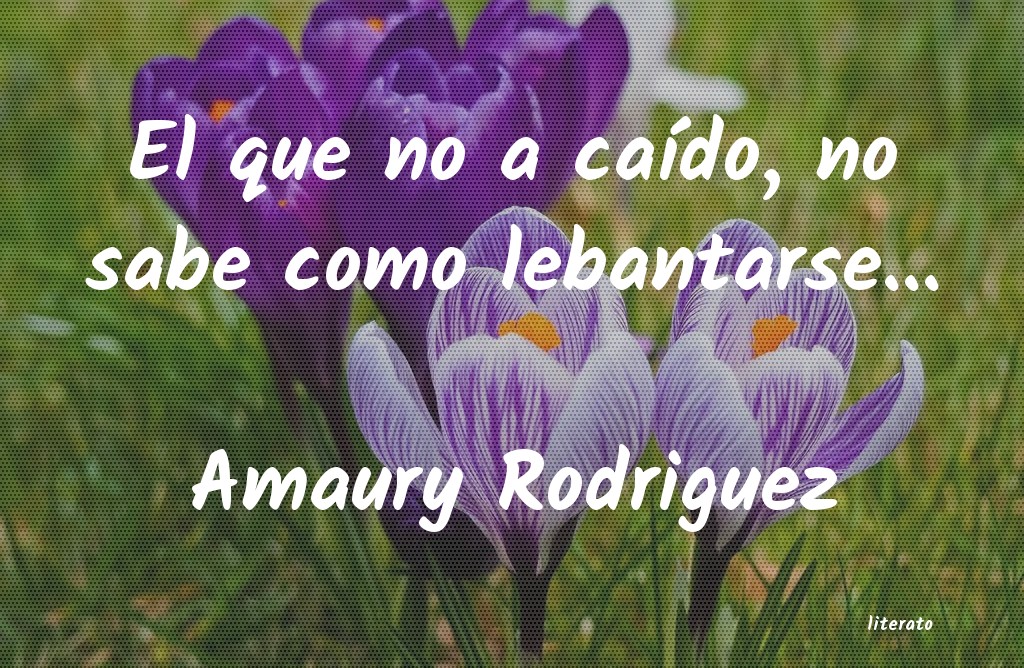 Frases de Amaury Rodriguez