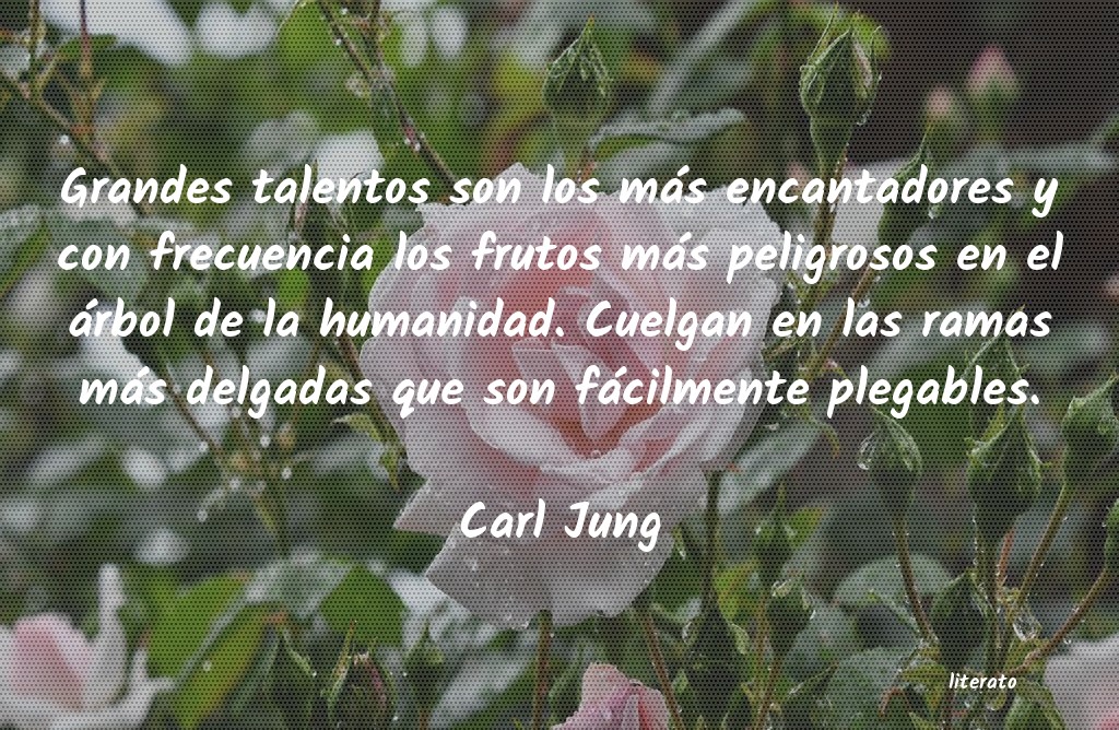 carl jung sentido
