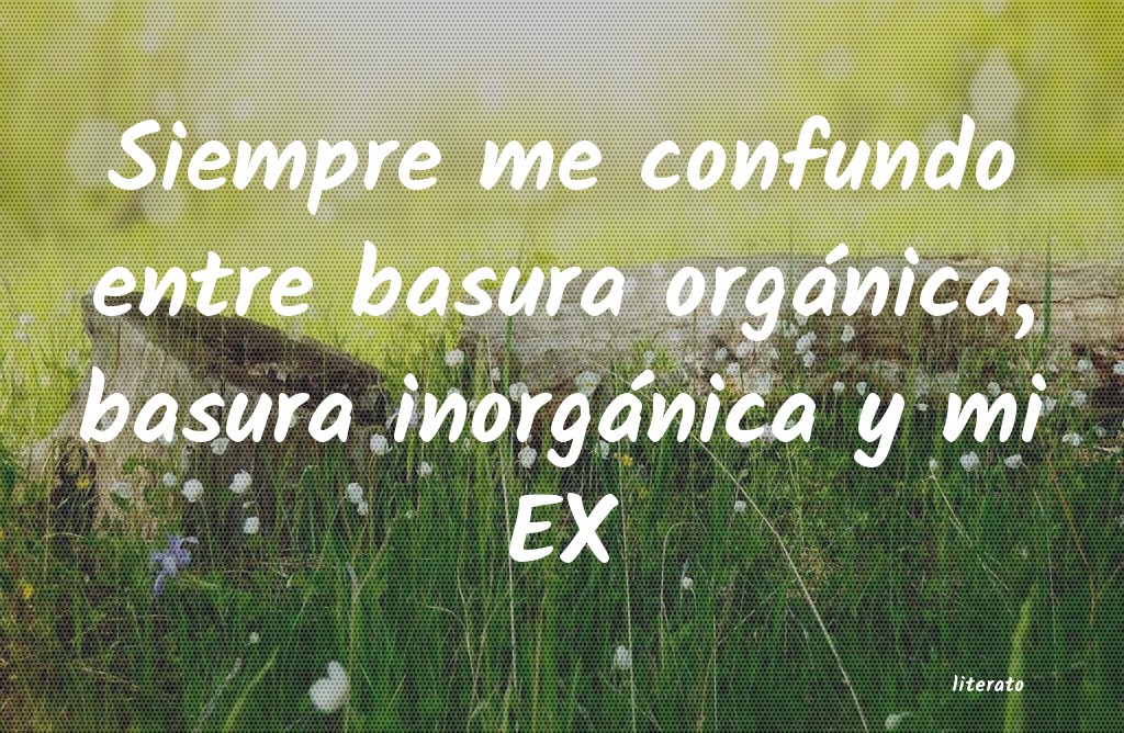 frases