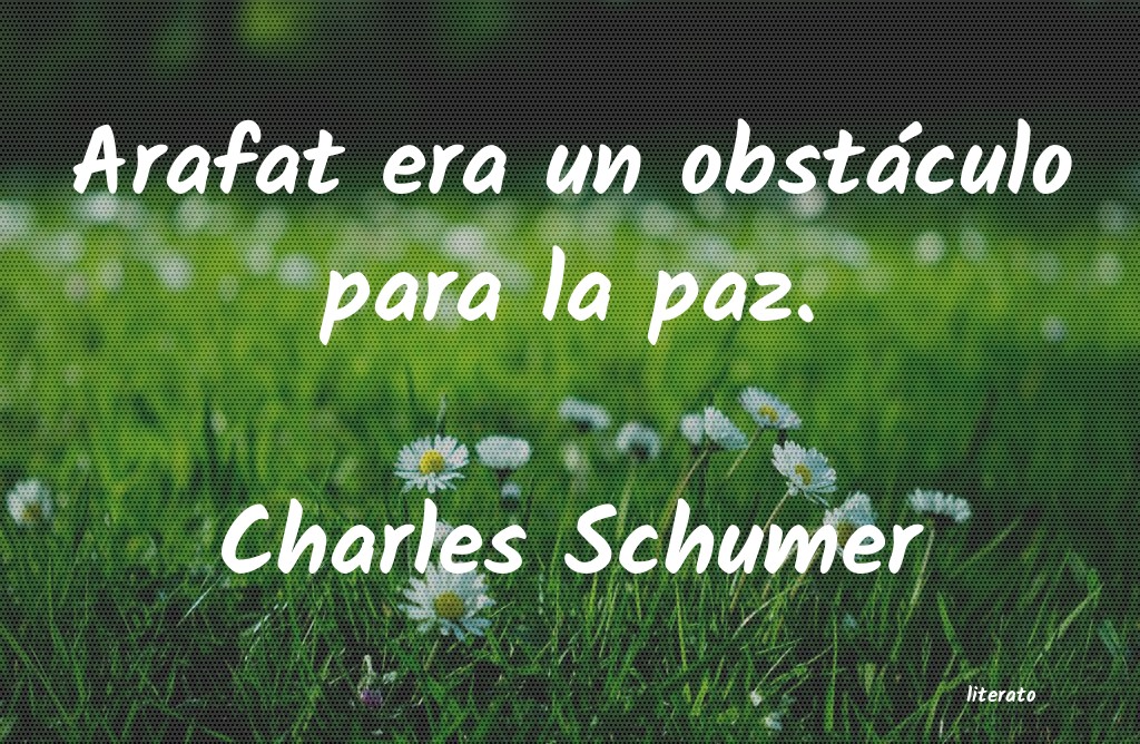 Frases de Charles Schumer