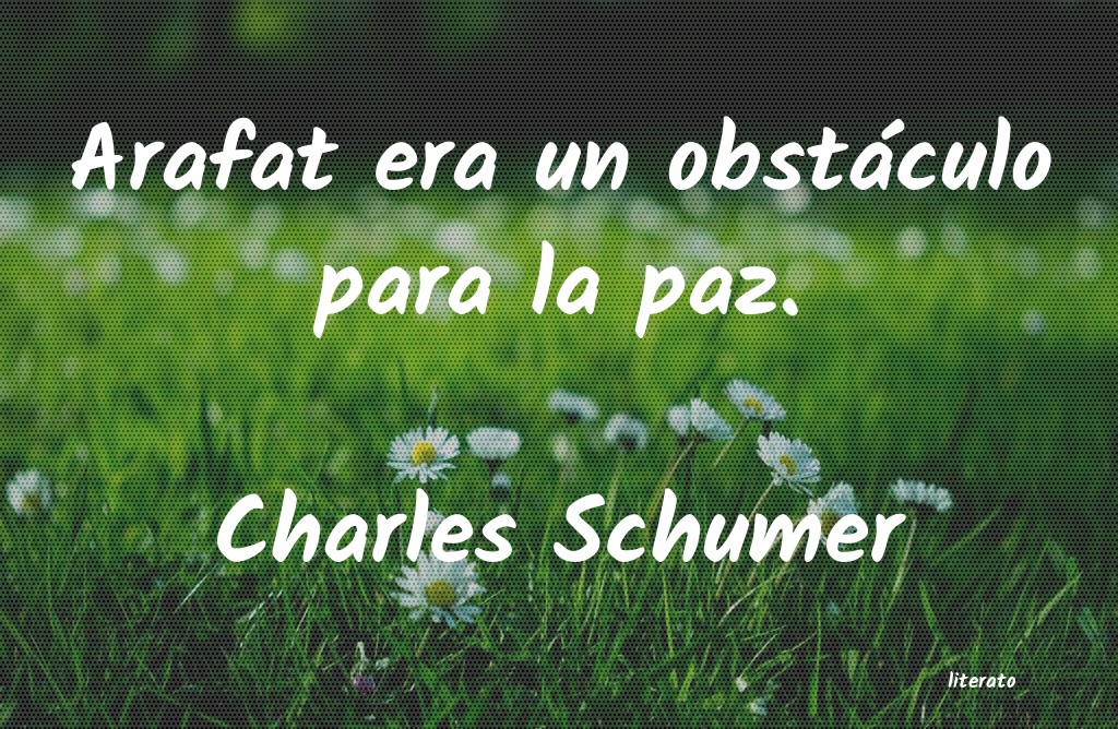frases de Charles Schumer