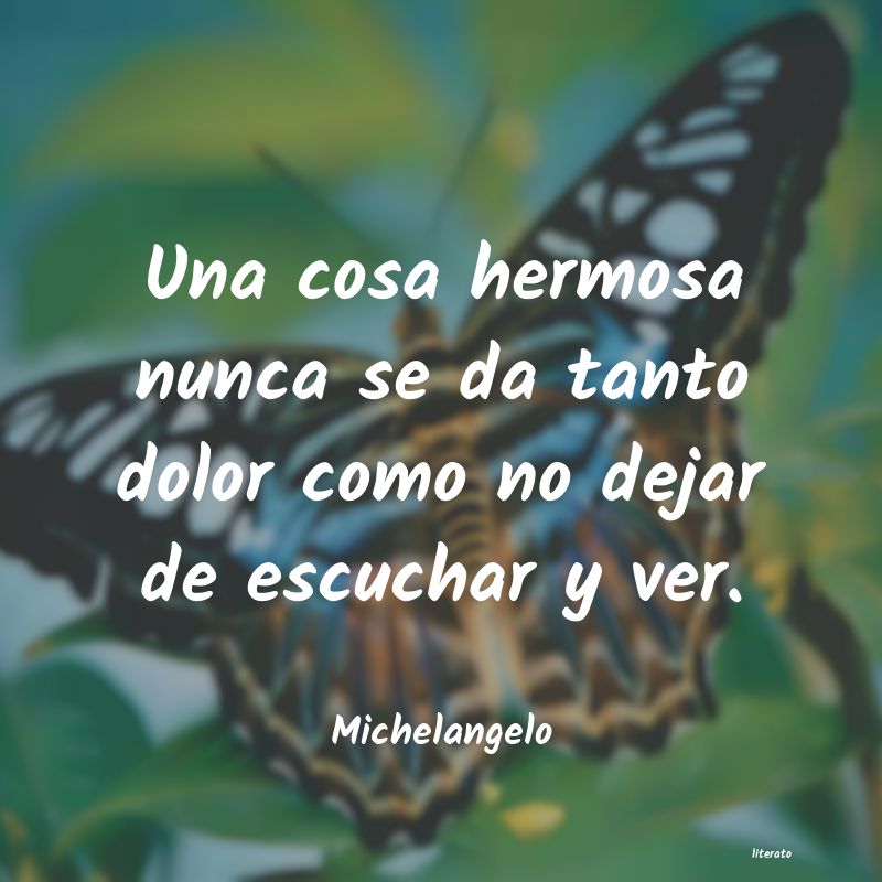 Frases de Michelangelo