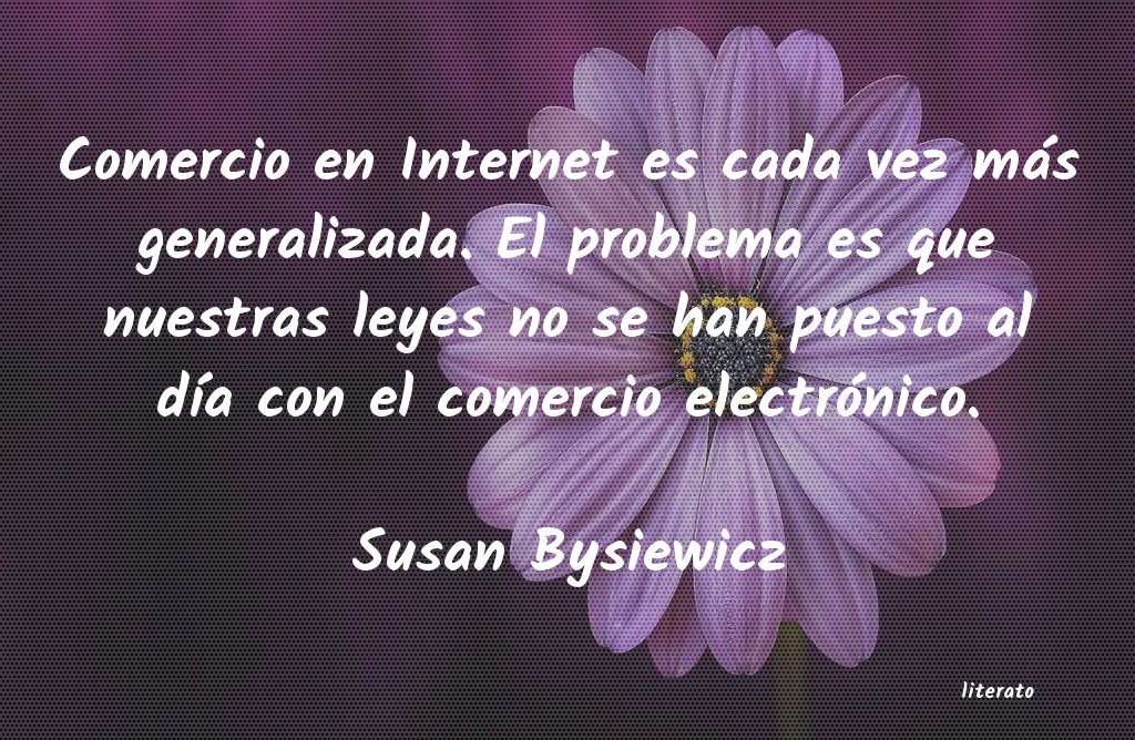 Frases de Susan Bysiewicz