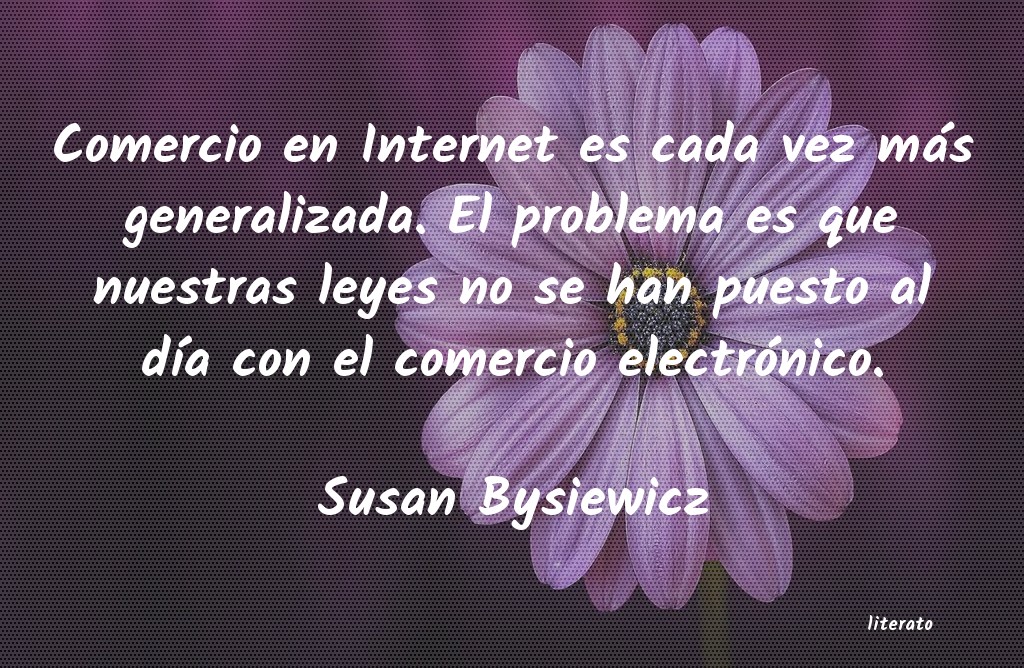 frases de Susan Bysiewicz