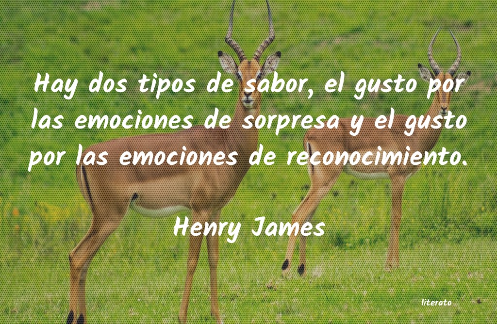 Frases de Henry James