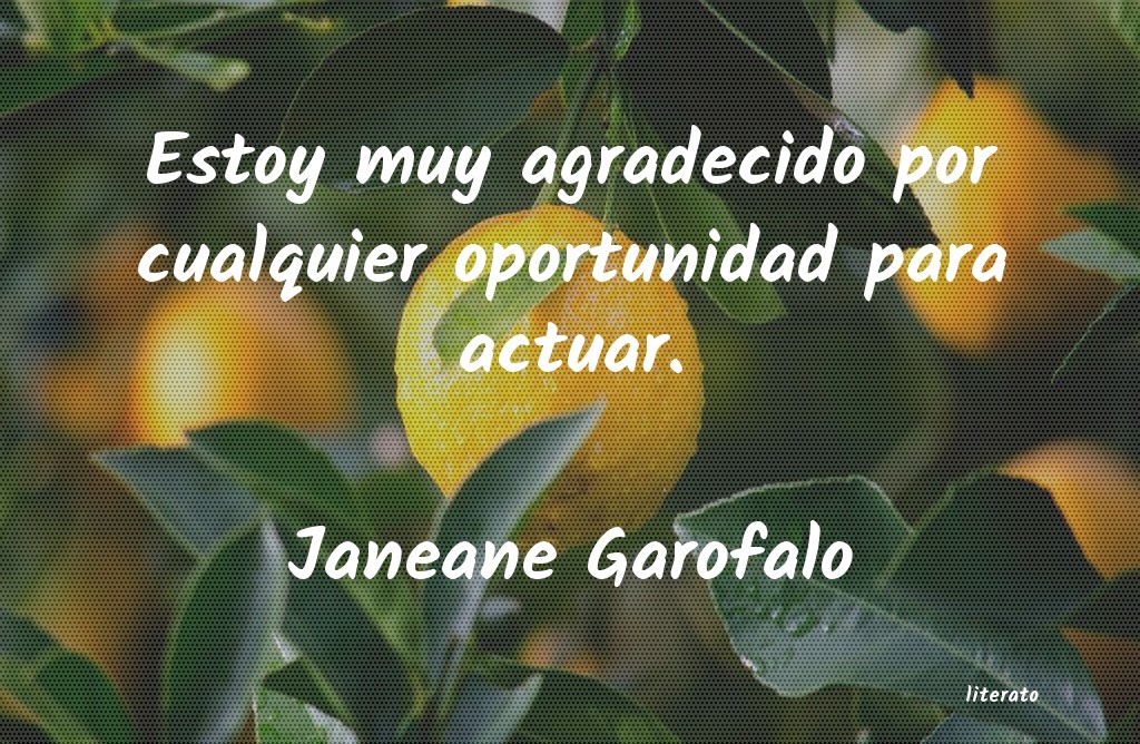 frases de Janeane Garofalo
