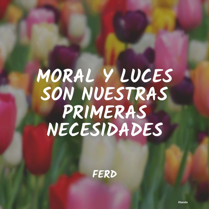 frases de FERD