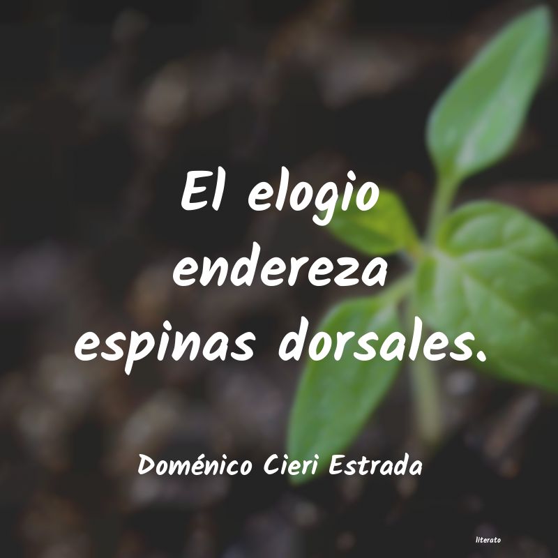 Frases de Doménico Cieri Estrada