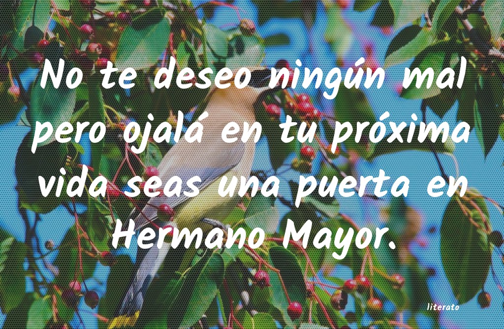frases