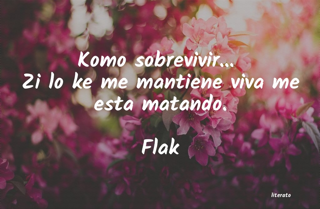 frases de Flak