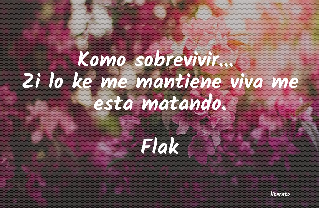 Frases de Flak