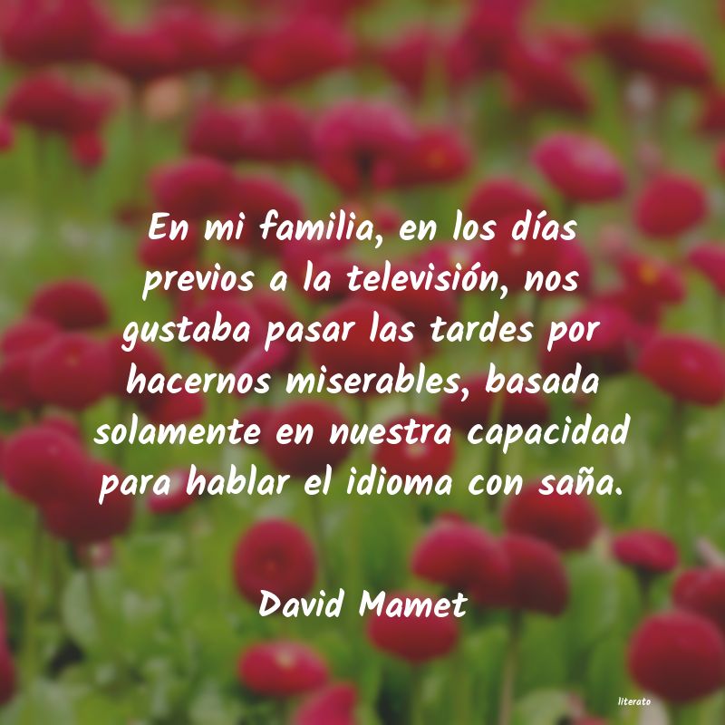 Frases de David Mamet