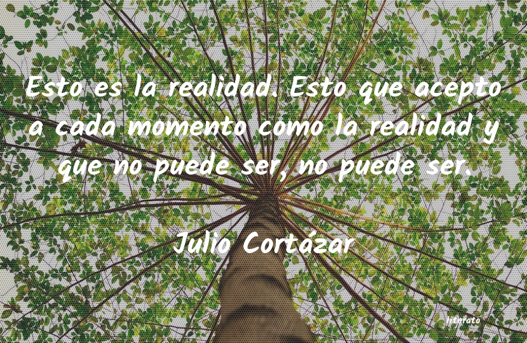frases de Julio Cortázar