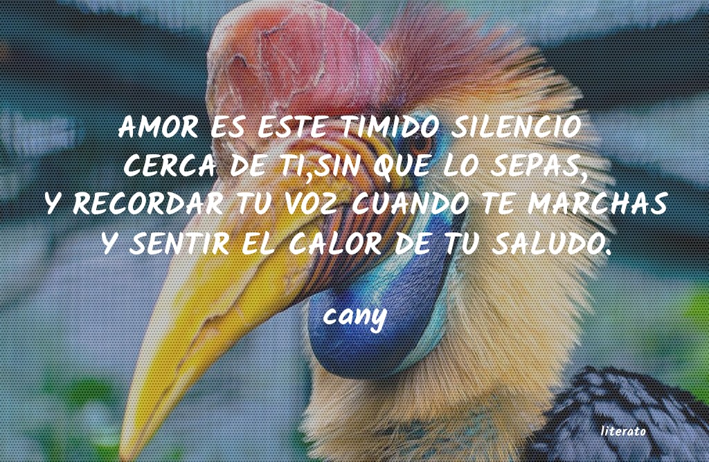 Frases de cany