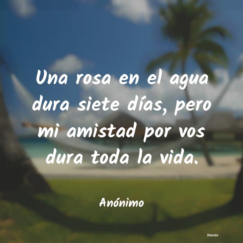 frases