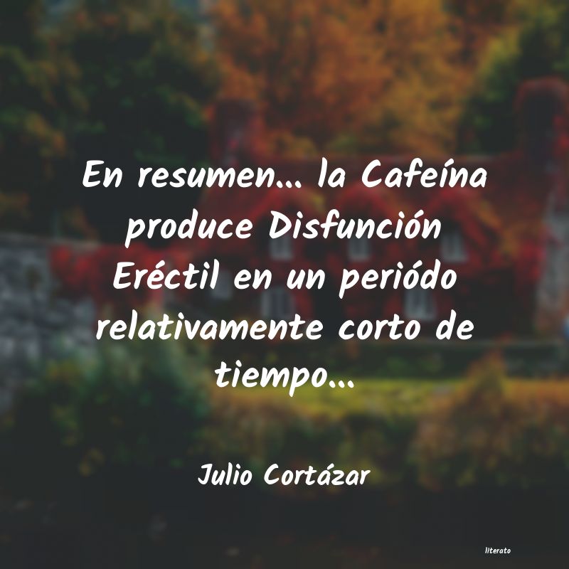 Frases de Julio Cortázar