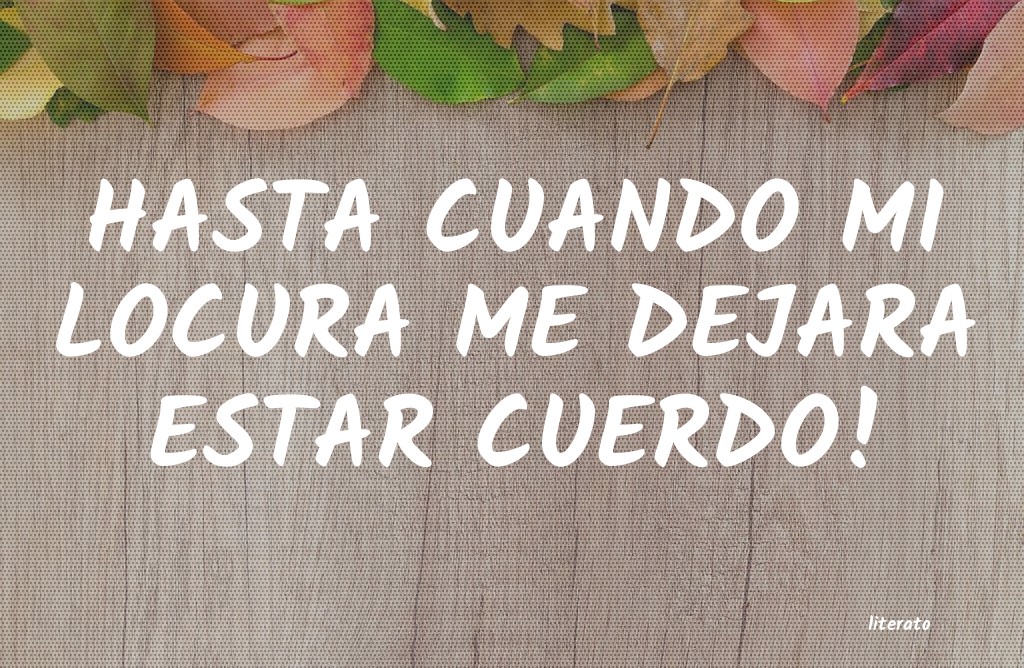 frases
