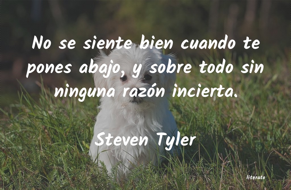 Frases de Steven Tyler