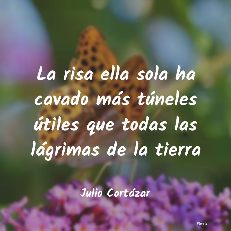 frases de Julio Cortázar