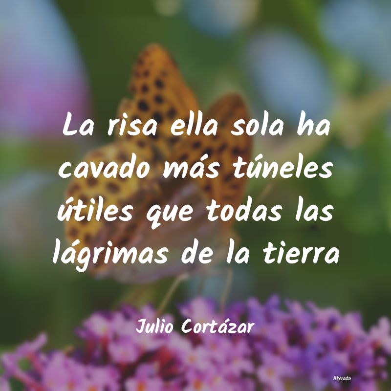 Frases de Julio Cortázar