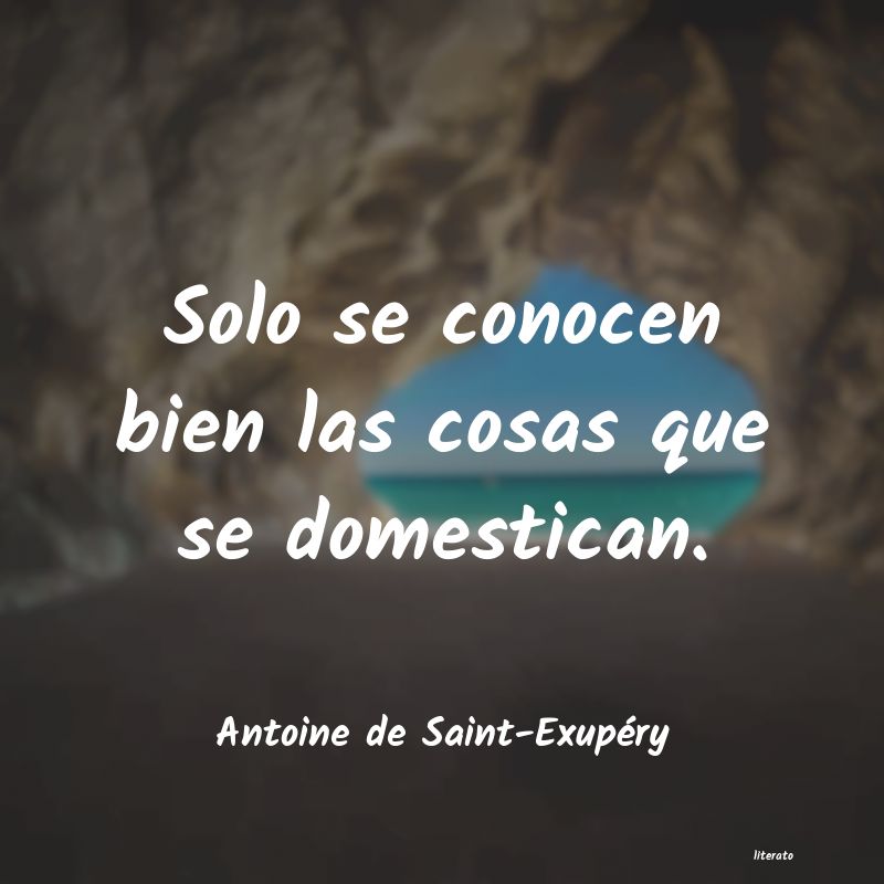 Frases de Antoine de Saint-Exupéry