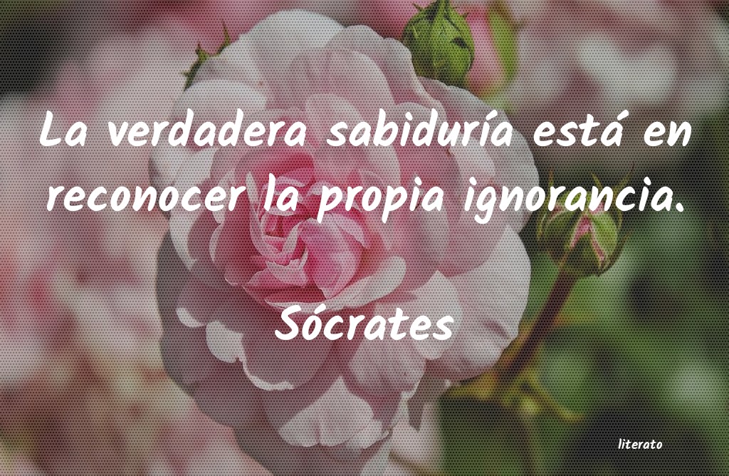frases de Sócrates