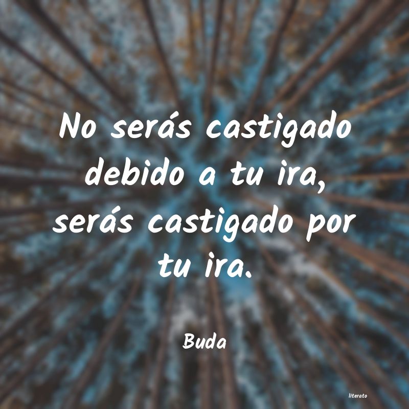 Frases de Buda