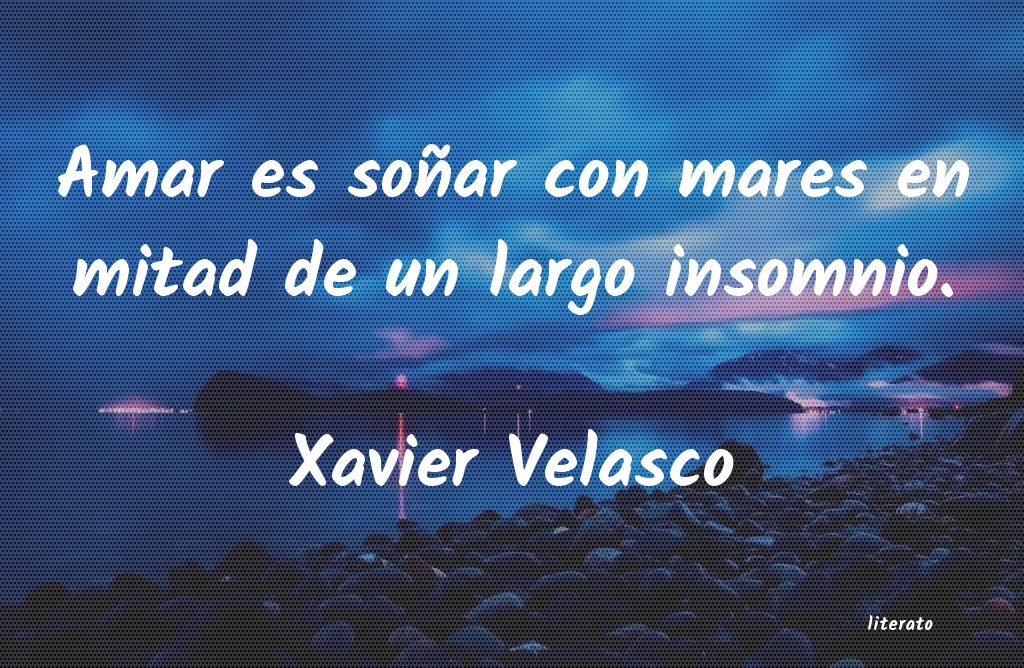 Frases de Xavier Velasco