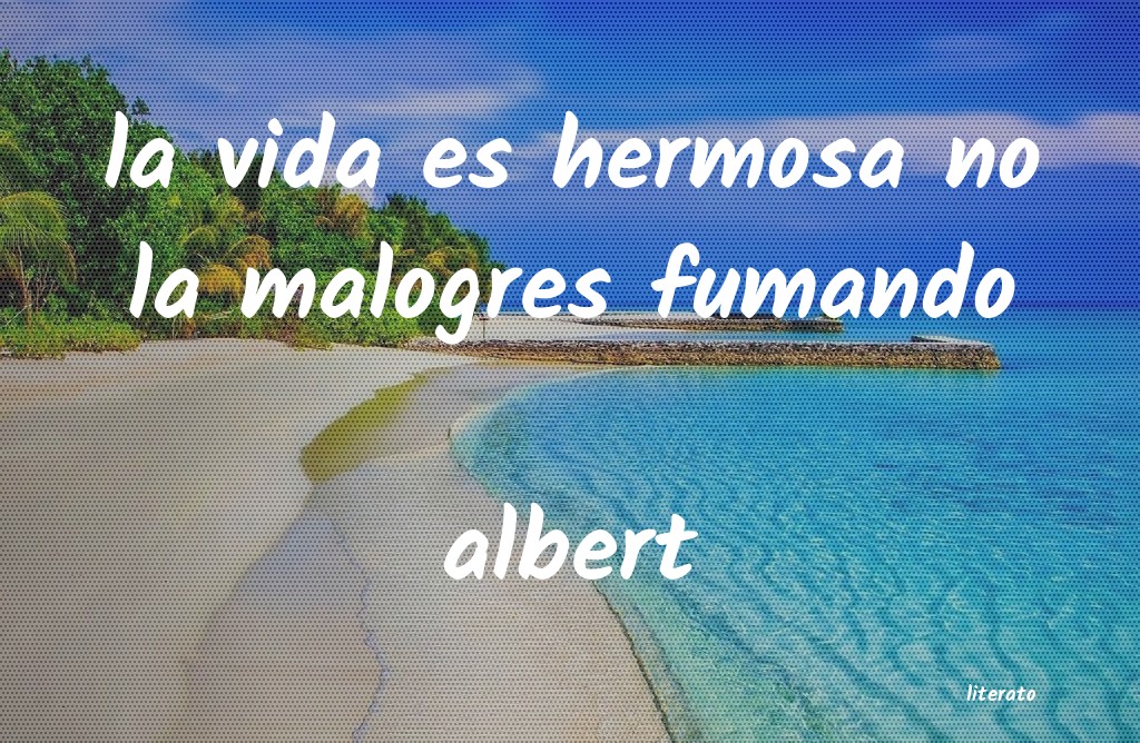 frases de albert