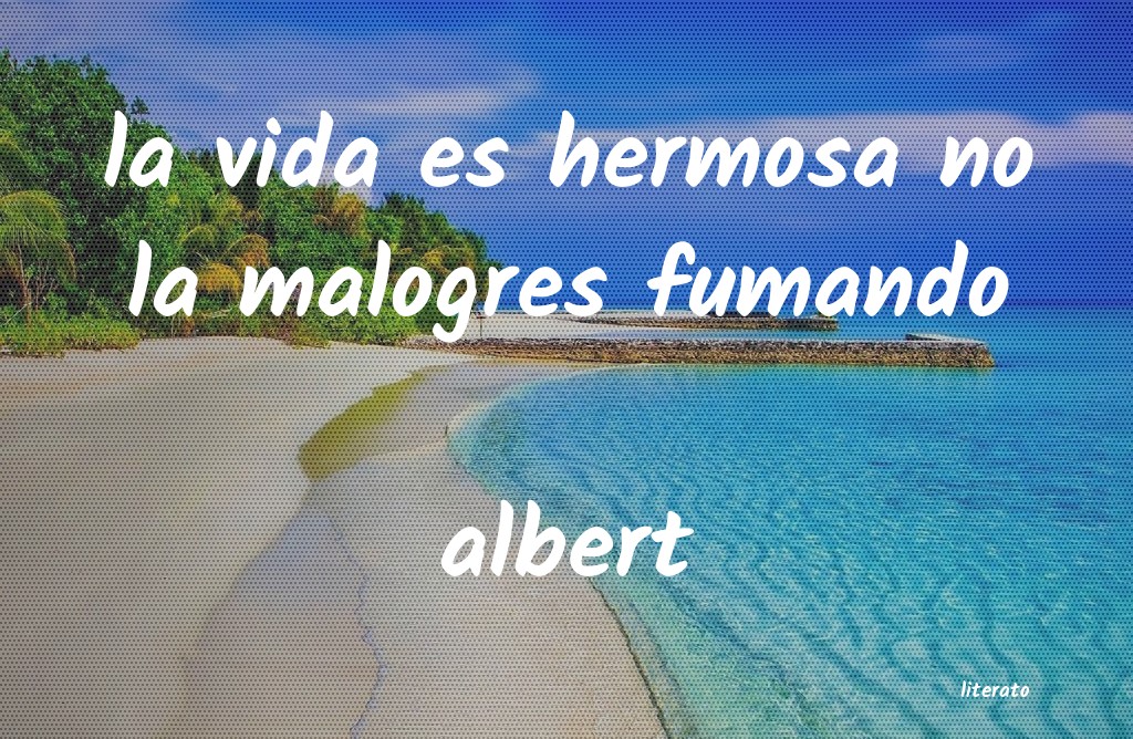 Frases de albert