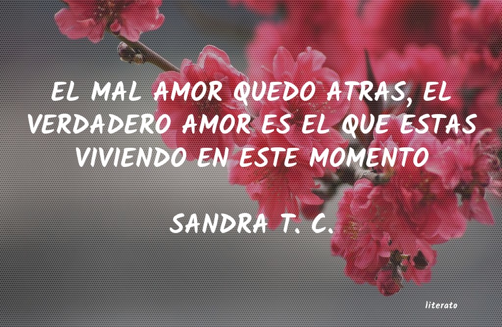 frases de SANDRA T. C.